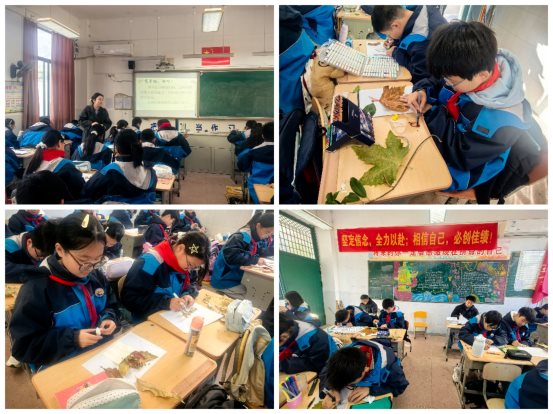 Collage_20251126_165915